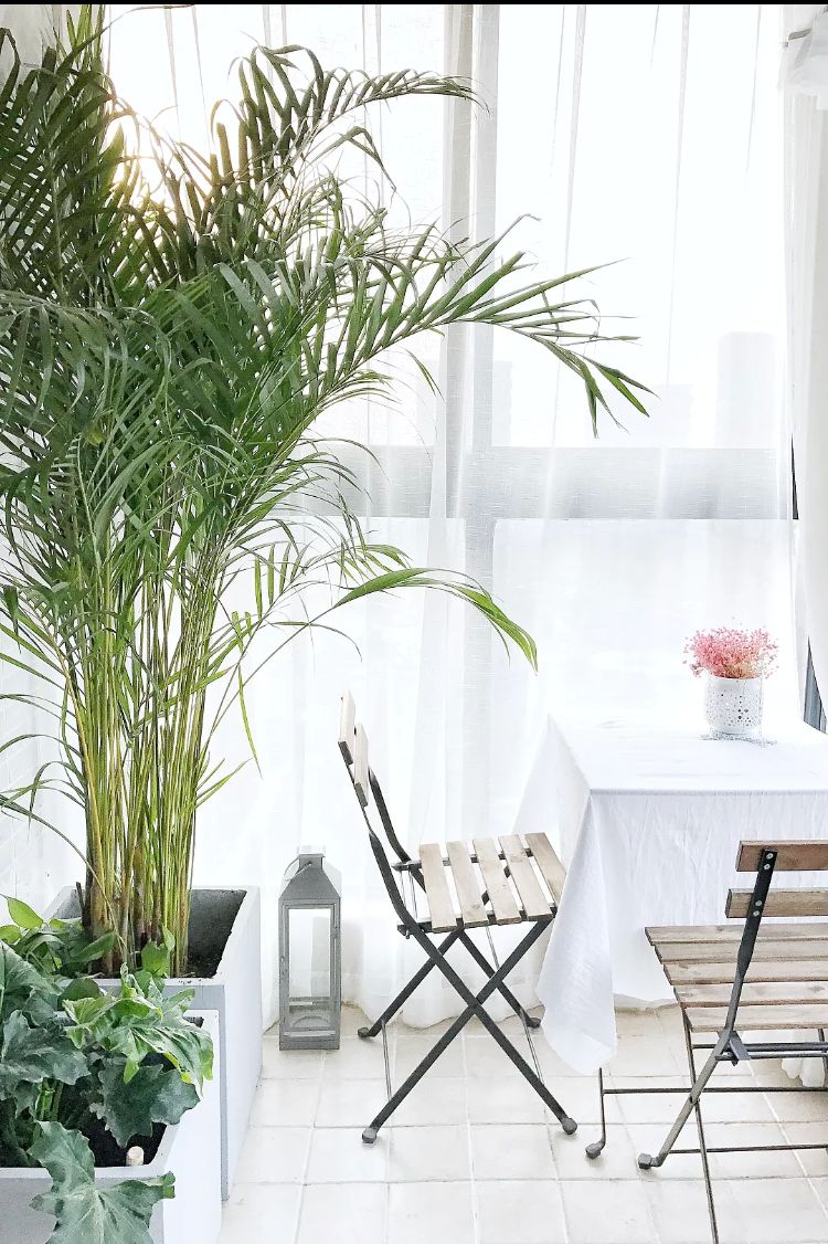 哈爾濱花園小學(xué)校區(qū)房怎么劃分 哈爾濱花園小學(xué)校區(qū)房怎么劃分