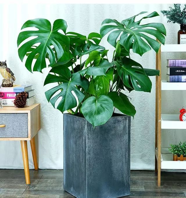 衛生間裝修效果圖 衛生間裝修效果圖